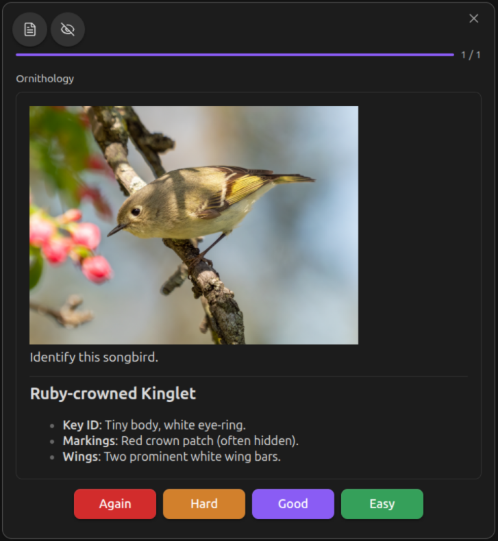 osmosis_sequential_mode_card_basic